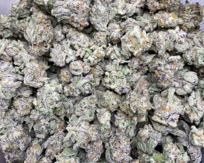 WIZARD CHOCOLATE GLUE SMALLS (MEGA STEAL) (SKULLS CUT) - Image 2